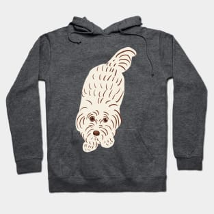 Maltipoo Cute Face Hoodie